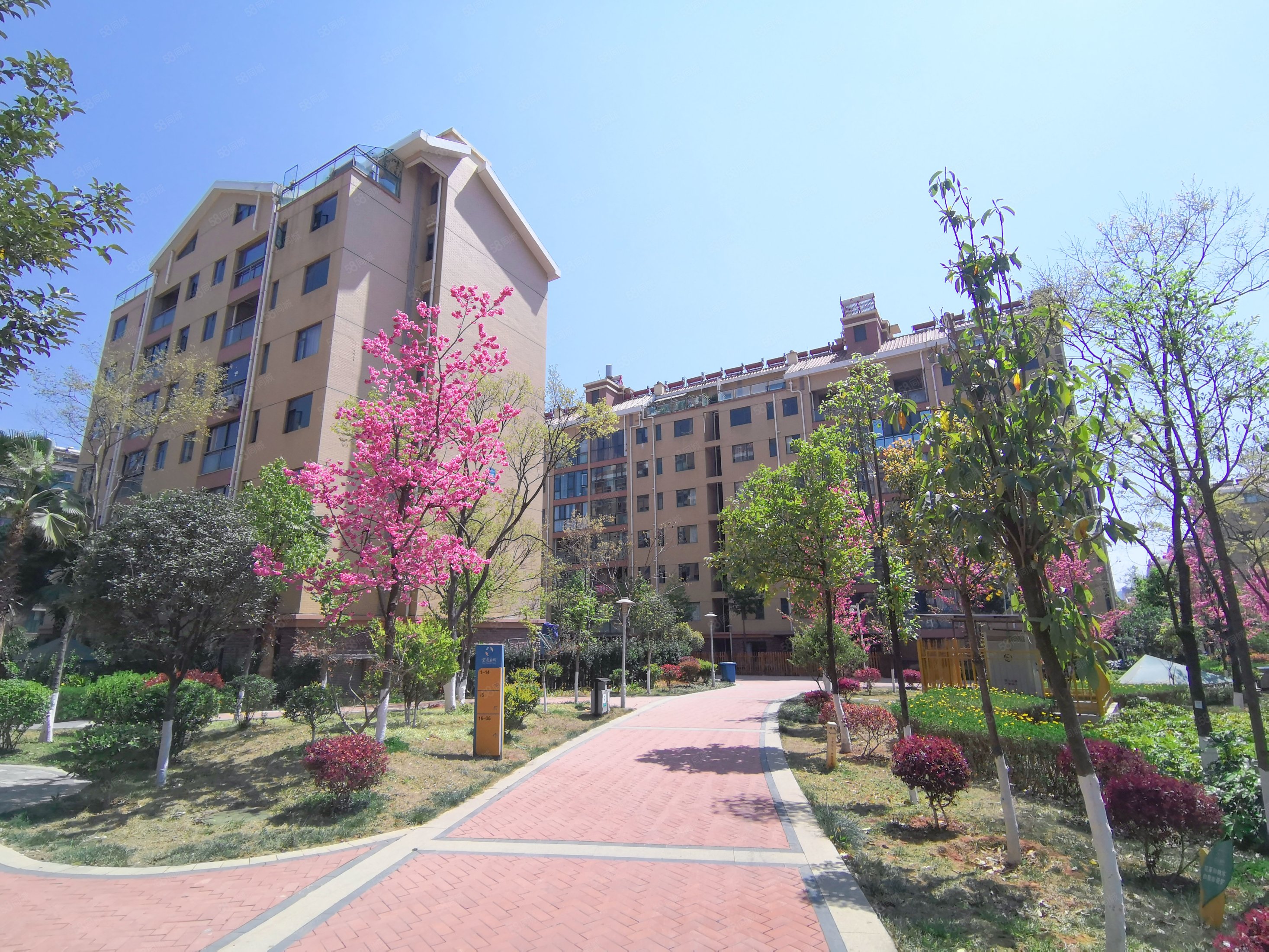 带车位西南端头三室两厅南北通透小区中心电梯洋房明厨明卫急售