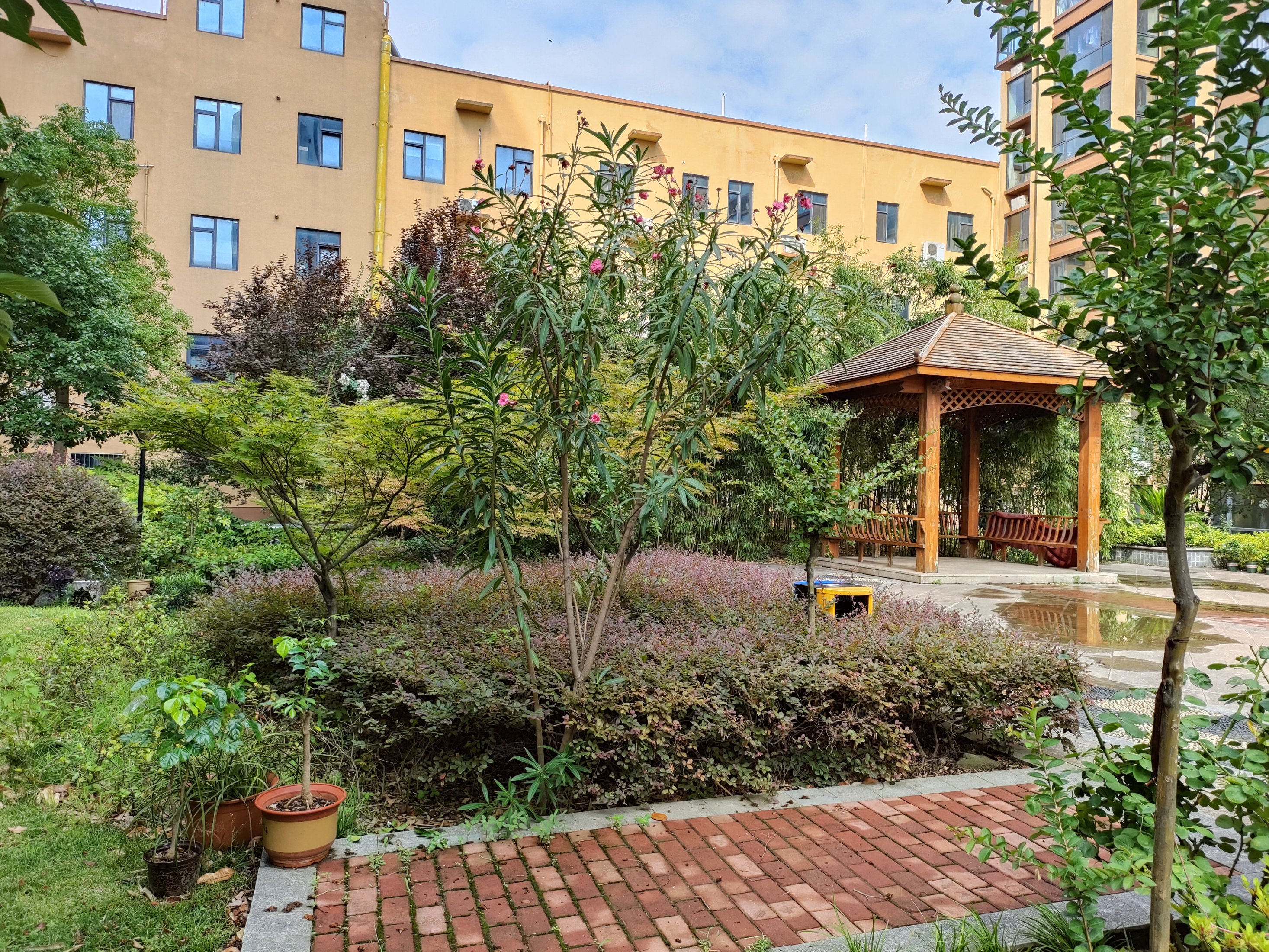 美河景房 金桥水岸 东区新15小龙达新市政府旁,金桥水岸-南阳58同城