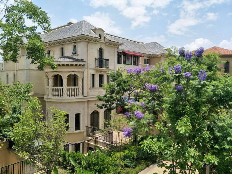 房东亏本急卖 公园1903 精装联排别墅 花园80平随时看房