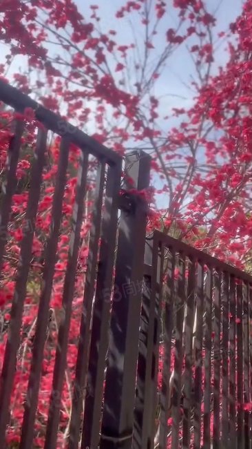 悦湖城3室2厅2卫141㎡南北119万