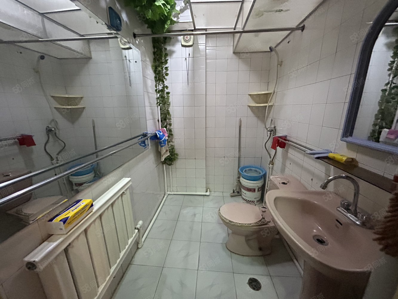 绿苑(三区)3室1厅1卫104㎡南北26万