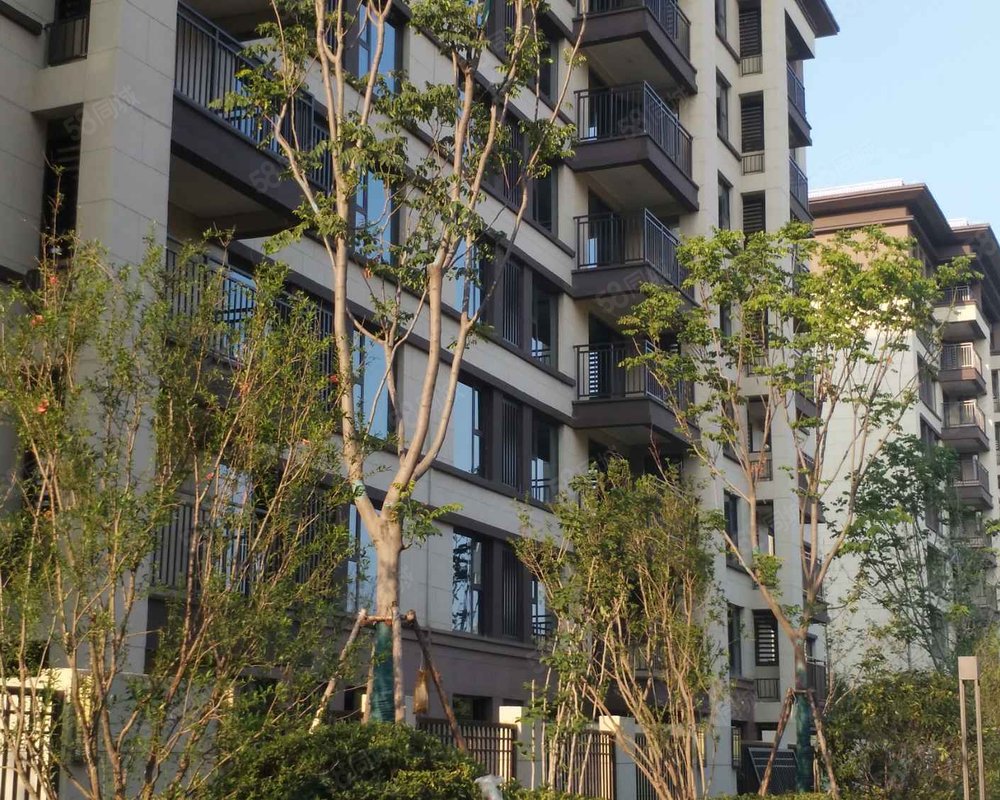 建业春天里(项城)