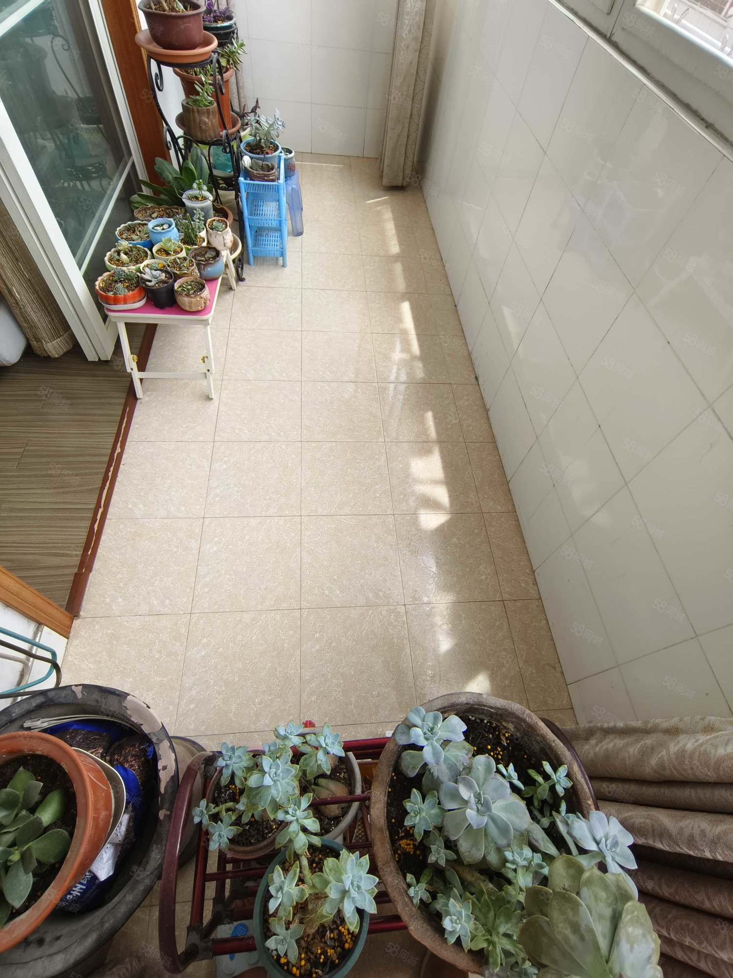 新西苑小区2室2厅1卫101㎡南北23.8万