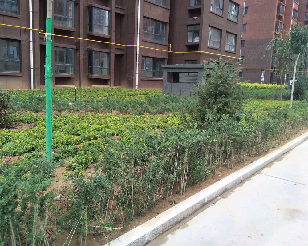 【绿丰园, 绿丰园小区详情,房价走势,房源,业主论坛】- 榆林58同城