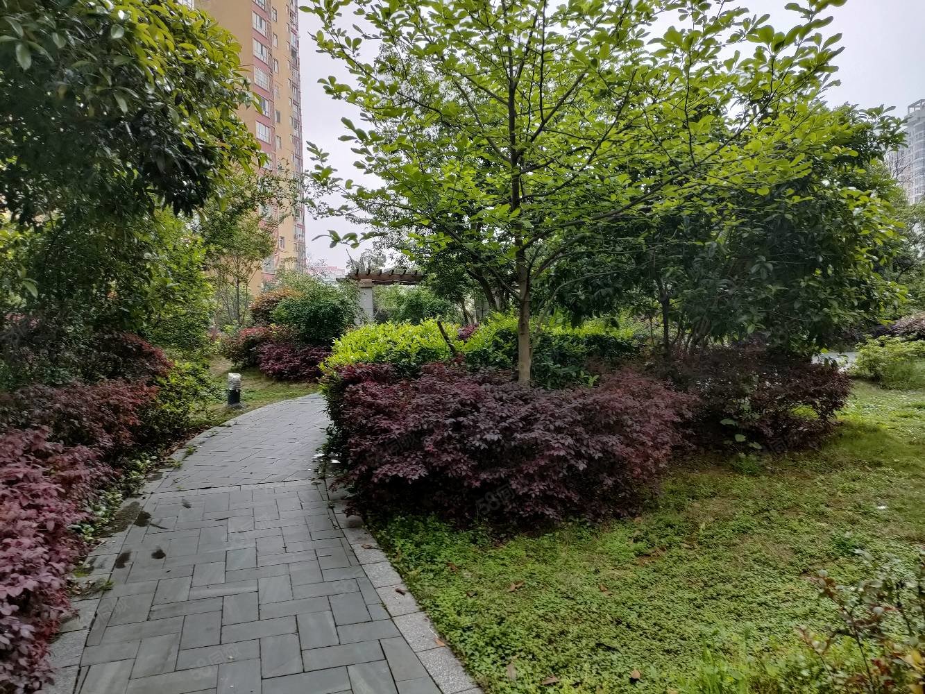 四中新苑3室2厅2卫130㎡南北69.8万