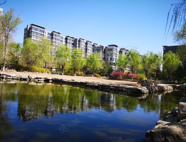 魯藝上河村(三區(qū))4室2廳4衛(wèi)263㎡南北3380萬(wàn)