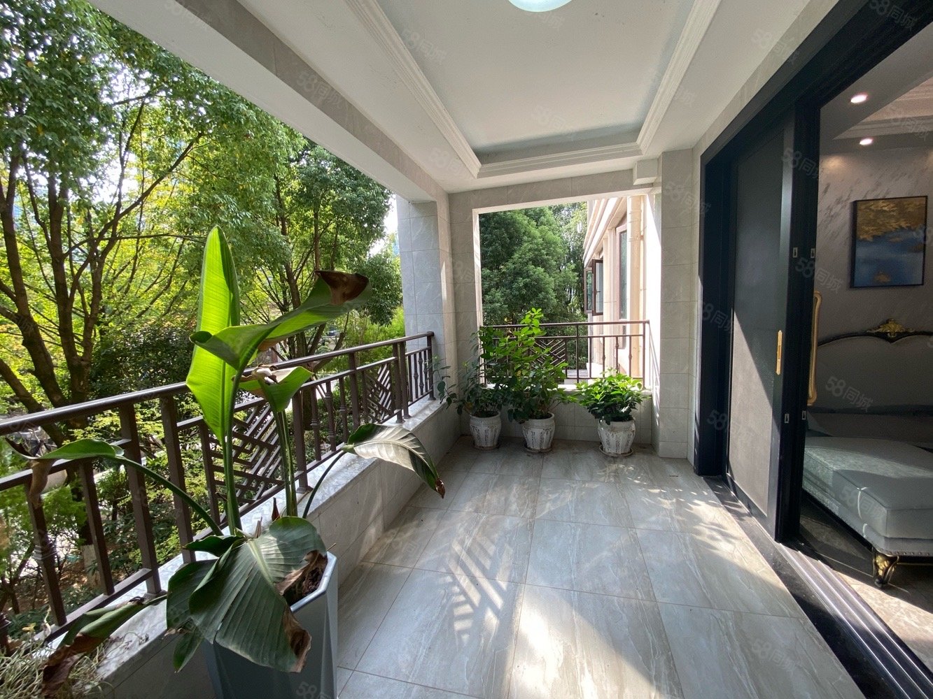 丽雅大院(别墅)4室2厅2卫180㎡东229万