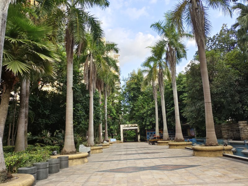 轻轨站旁东田丽园3房只售175万 户型实用通风采光好