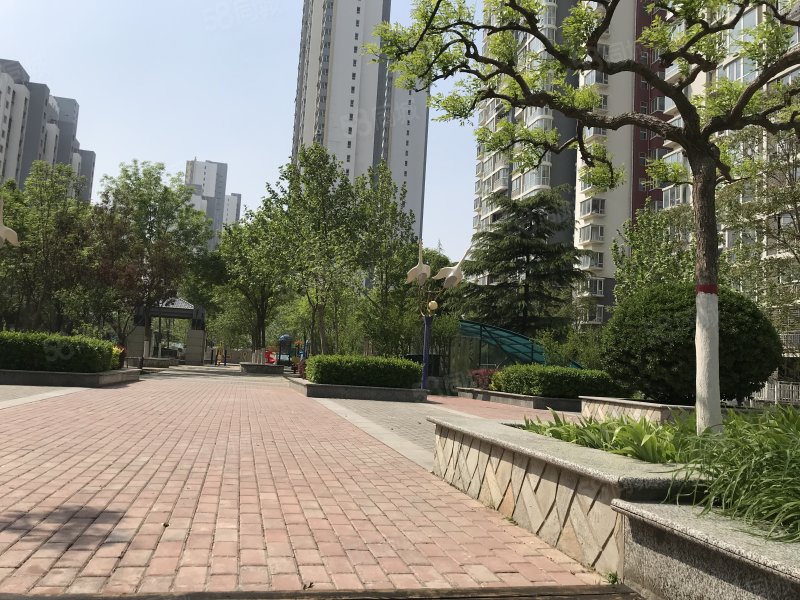 好楼层明厨明卫大三居双卫落地窗大客厅丽景蓝湾a区