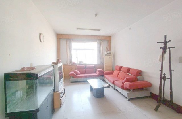 向阳路乐园小区，不临街，单价5000多，实验，湖边，金柱绿城