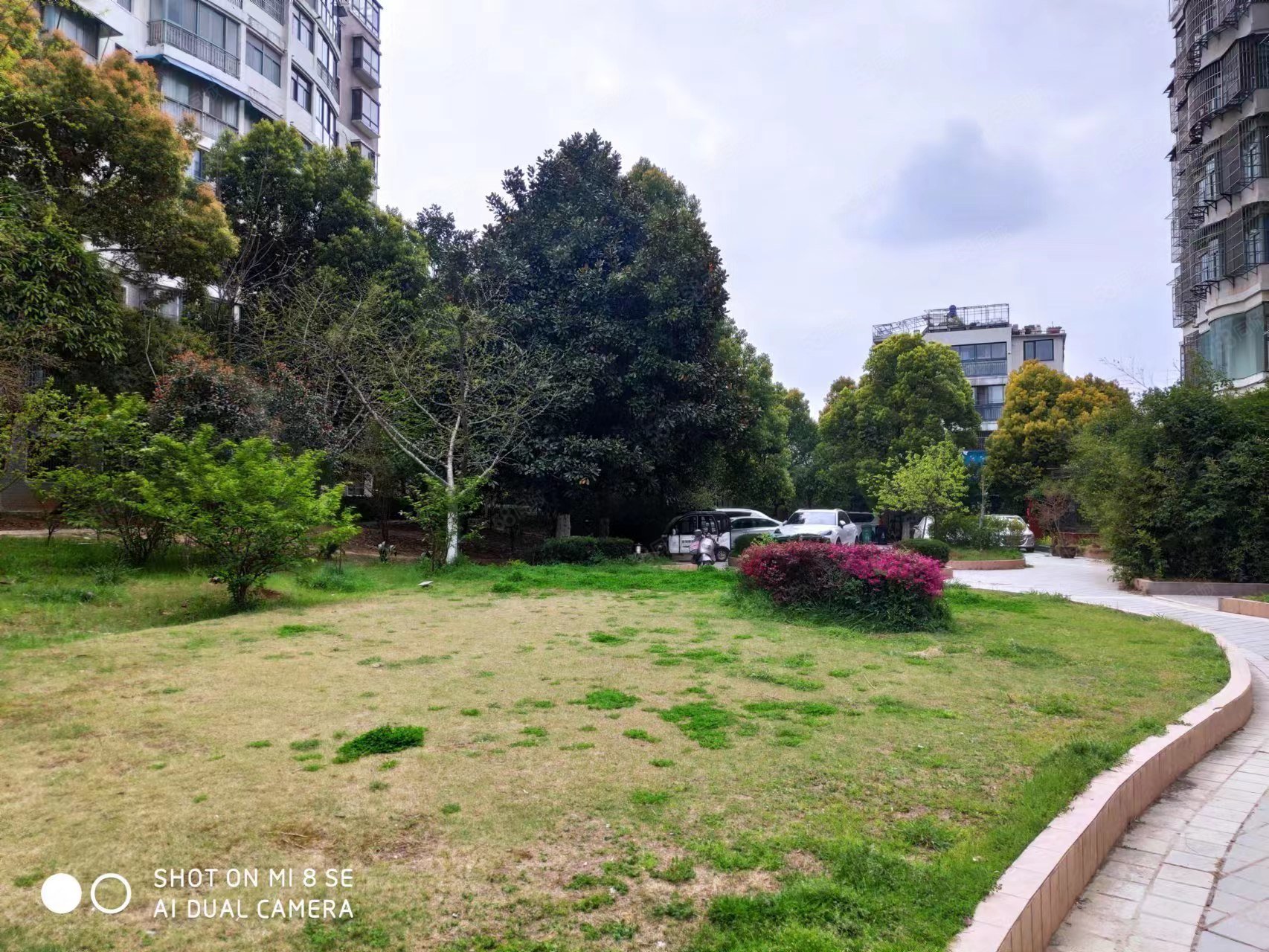 绿苑山庄3室2厅2卫167.55㎡南北115万