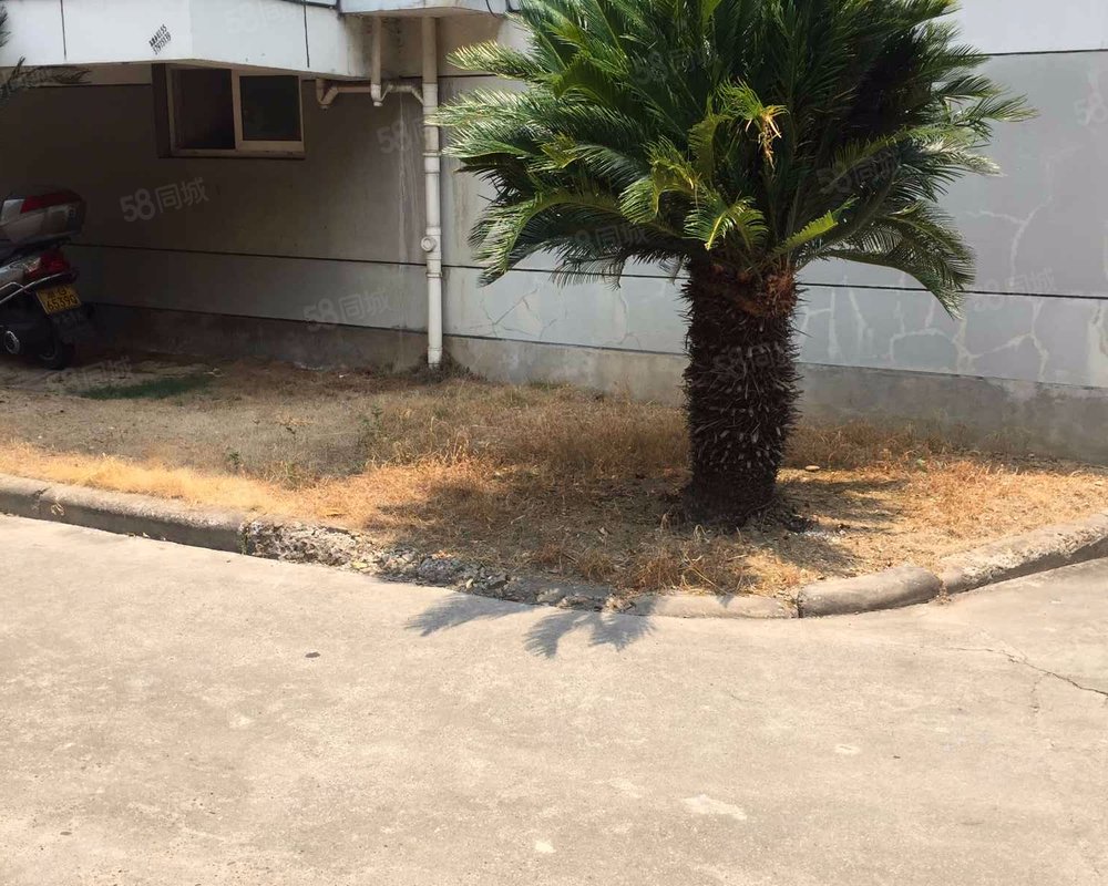 【阳光绿洲湾, 阳光绿洲湾小区详情,房价走势,房源,业主论坛】- 金华