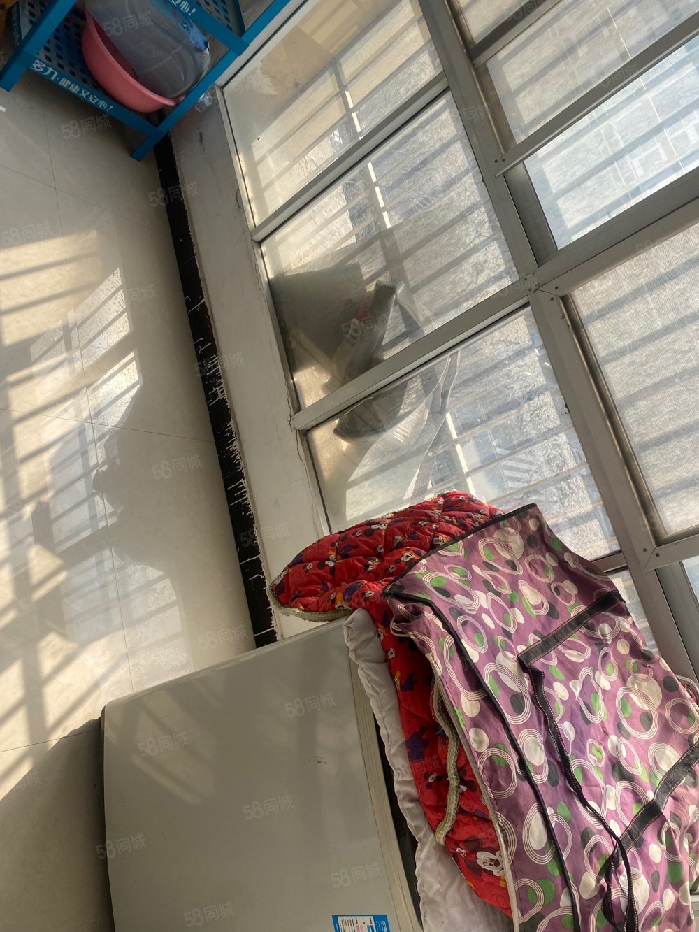 杉杉国际城2室2厅1卫82㎡南北32万