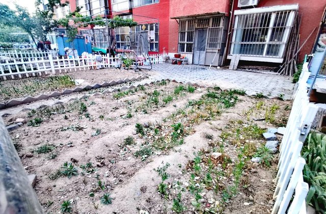 花园路上 一楼带大院子 水晶城 多层地暖房 南北通透 商品房