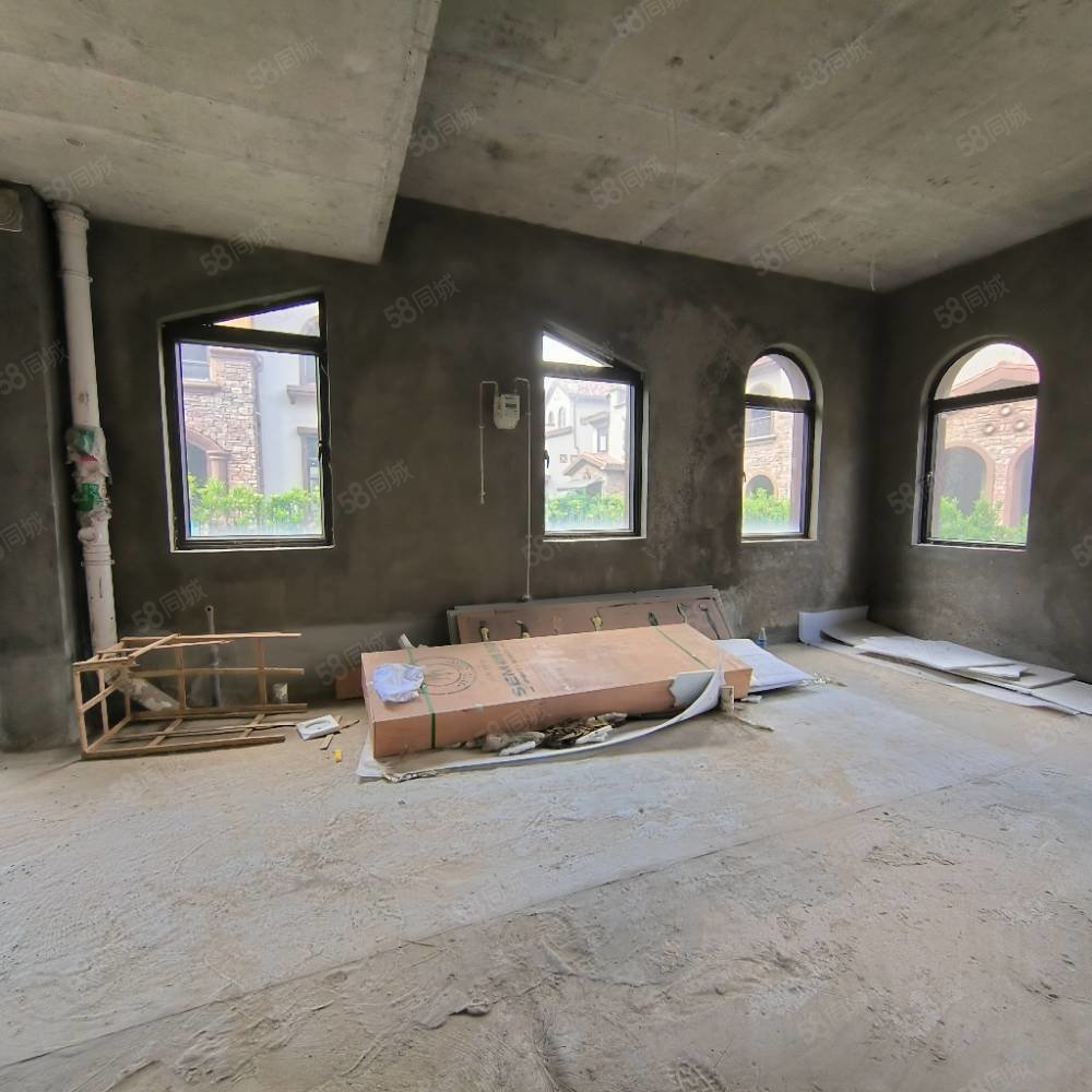 北部新洲莱茵别墅8室3厅7卫540㎡南北396万