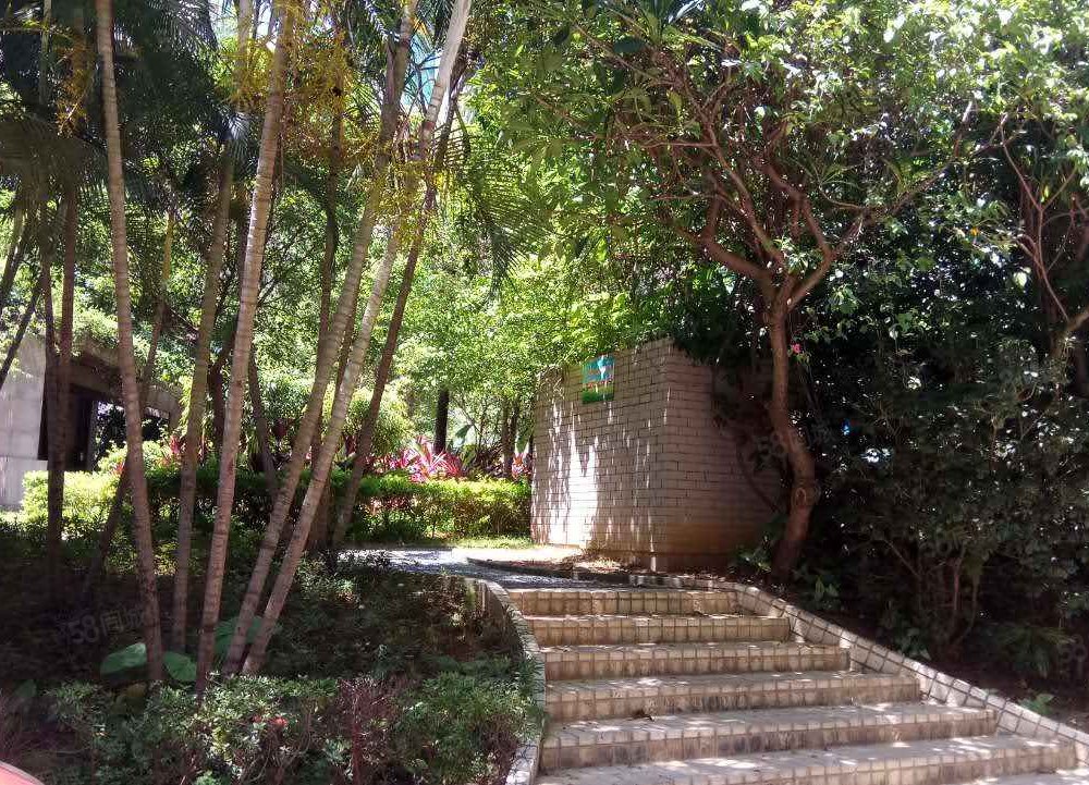 【鹿鸣园, 鹿鸣园小区详情,房价走势,房源,业主论坛】- 深圳58同城