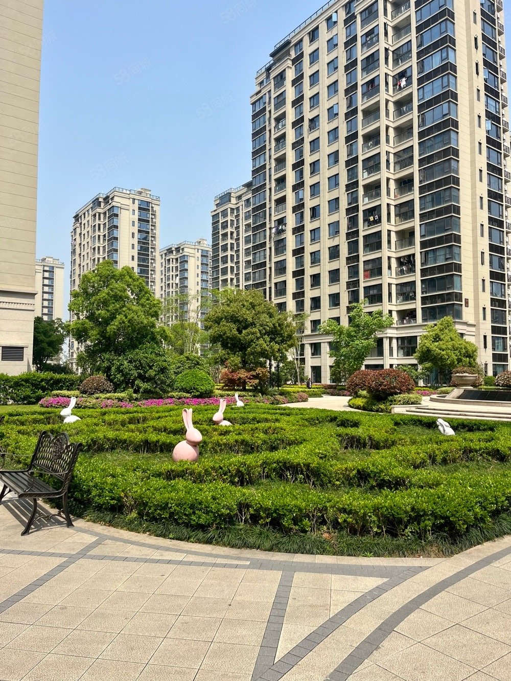 滨海六碧桂园观澜苑四房上罗实验诚心,德信碧桂园观澜苑-温州58同城