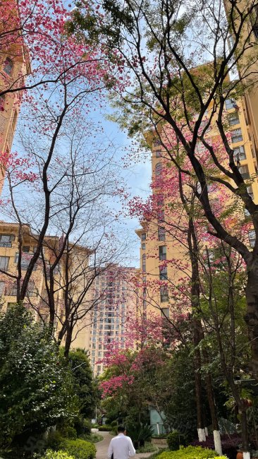 万达广场旁精装修跃层5室一梯两户南北通透环境优美绿化好