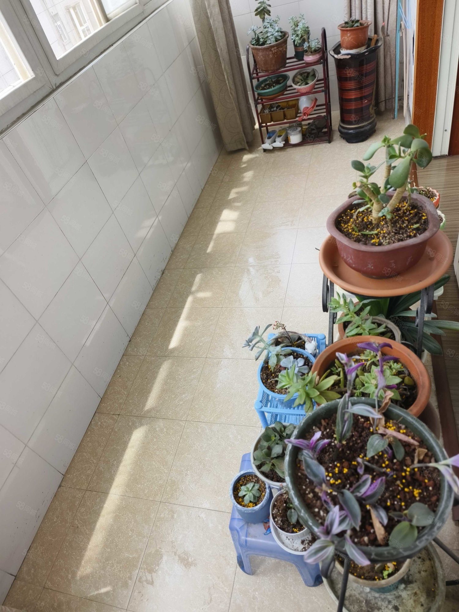 新西苑小区2室2厅1卫101㎡南北23.8万