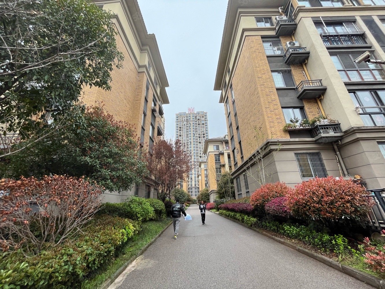 房东诚心出售 看上价可谈 带家具家电,澳海澜庭-怀化58同城