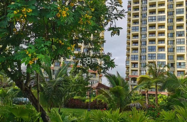 珍珠湾风情小镇1室0厅41㎡40万二手房图片