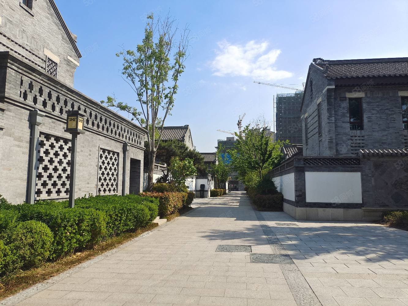 即墨古城(别墅)7室3厅7卫323㎡南北1600万