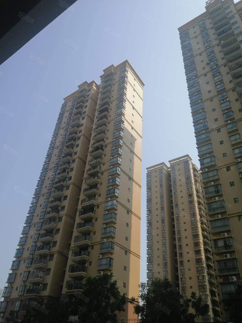 【10图】安泰华府 万达傍 中间楼层 位置中心 小区环境优美,安泰华府