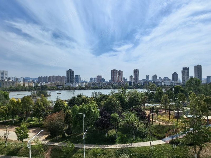 红星天铂 湖景房 好楼层 急卖