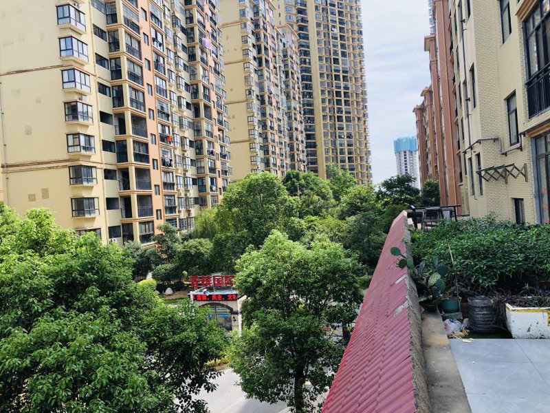 香槟国际5室2厅2卫130㎡南北69.8万