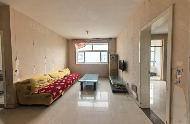 文轩片区，两室两厅两卫电梯房，价格超乎你想象