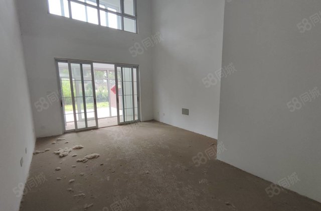 万达电大附近 单价不过万的大别墅 一二层加下沉 90平院子