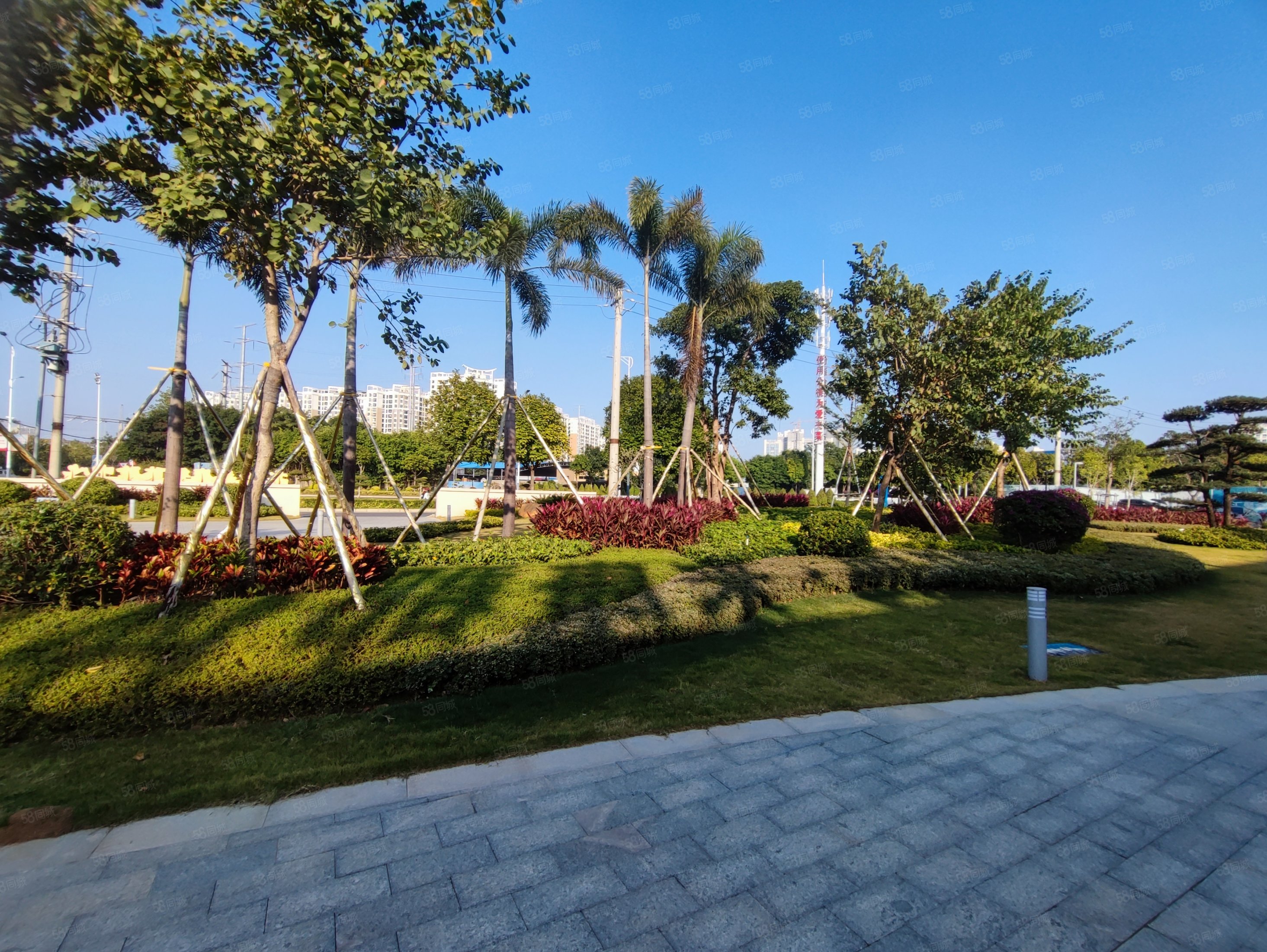 北海来康郡2室2厅1卫79㎡南北45万