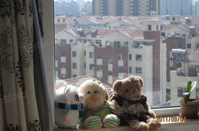 伟业星城2室2厅45.96㎡42万二手房图片