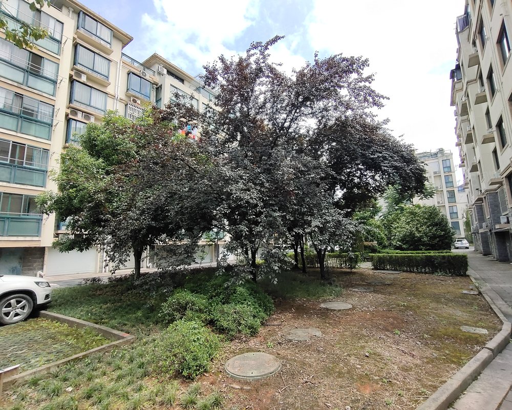 【涂山花园, 涂山花园小区详情,房价走势,房源,业主论坛】- 绍兴58