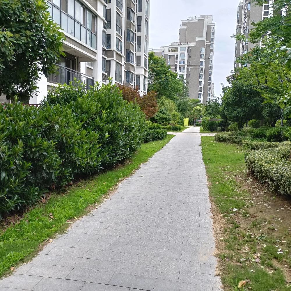 毛坯 复式 集中供暖 带大平台 前排,天山绿洲四期观湖天下-徐州58同城