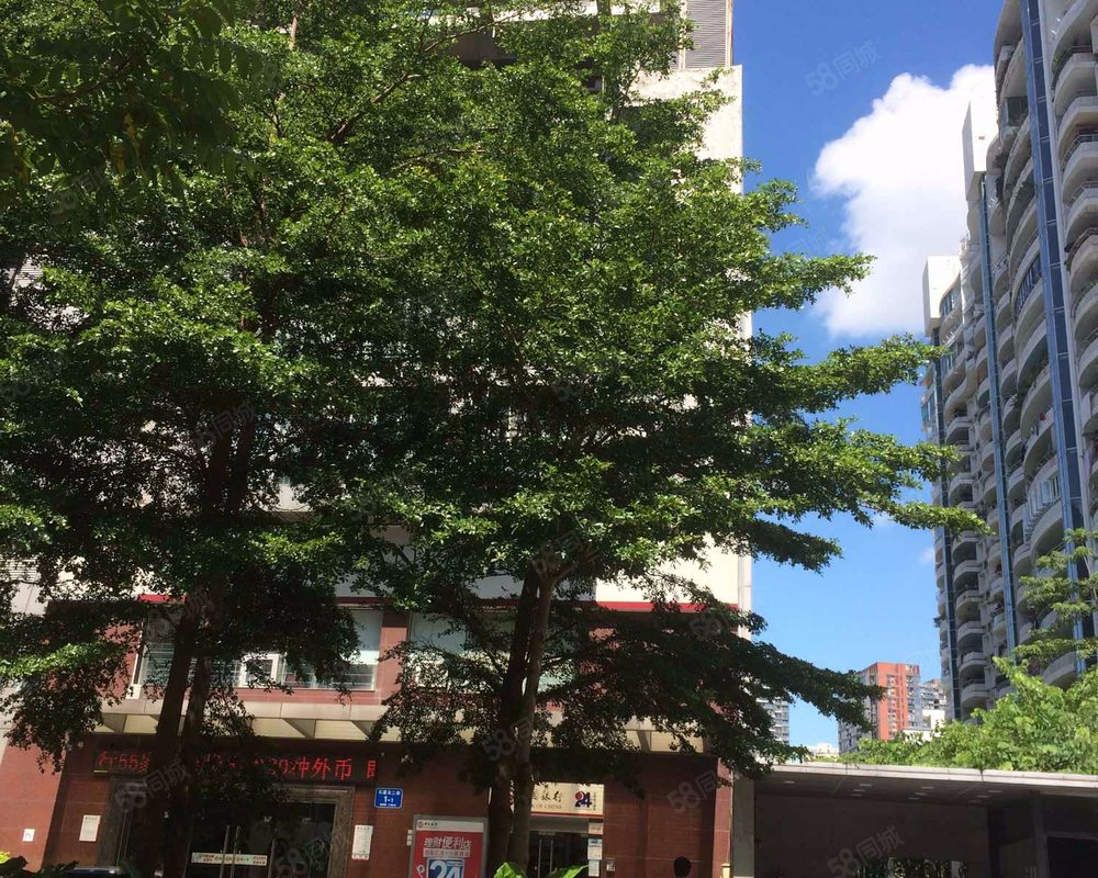 【中央花园, 中央花园小区详情,房价走势,房源,业主论坛】- 深圳58