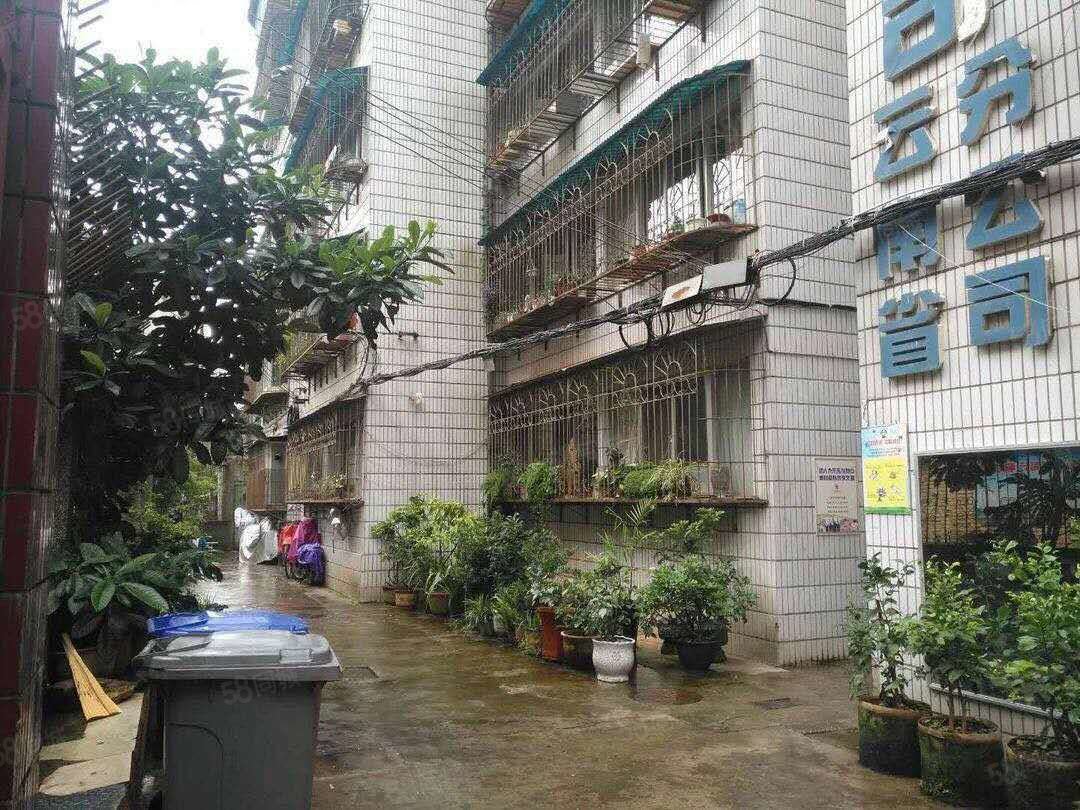 五一路民生街沙朗巷四楼精装两房