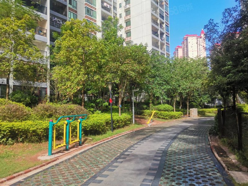 【10图】八中万秀上海城精装三房,业主诚心出售65万,上海城-玉林58