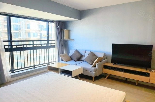 曼哈顿自然派1室0厅47.24㎡59万二手房图片