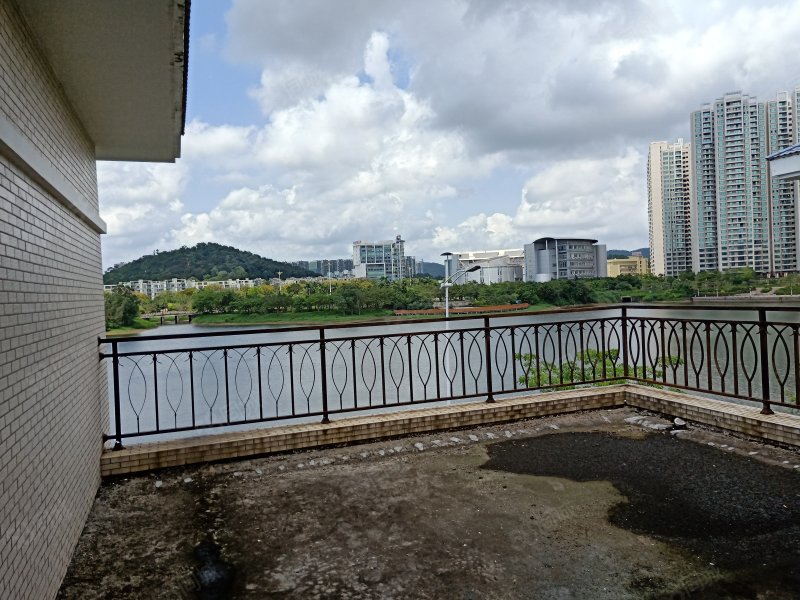 独栋御湖花园(还有3套)!330万起可望湖景!