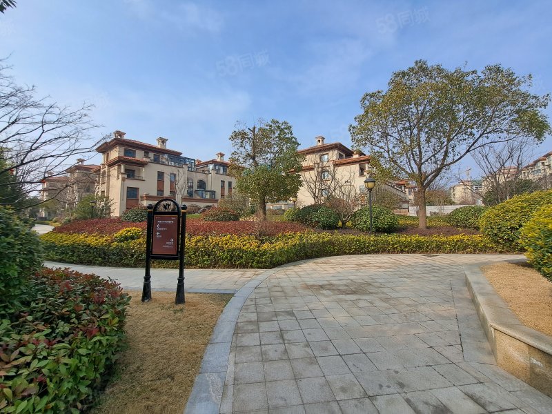 别墅美盛白河湾电梯五层前后院子带两个车位楼顶平台豪装