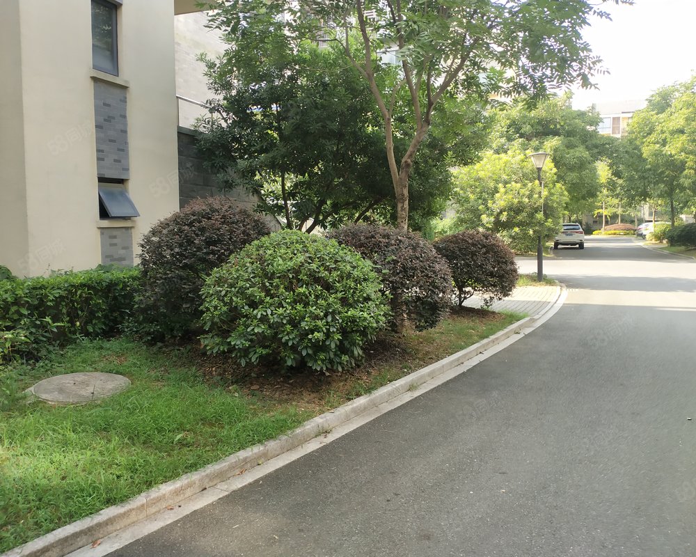 【新丰小区, 新丰小区小区详情,房价走势,房源,业主论坛】- 长兴58