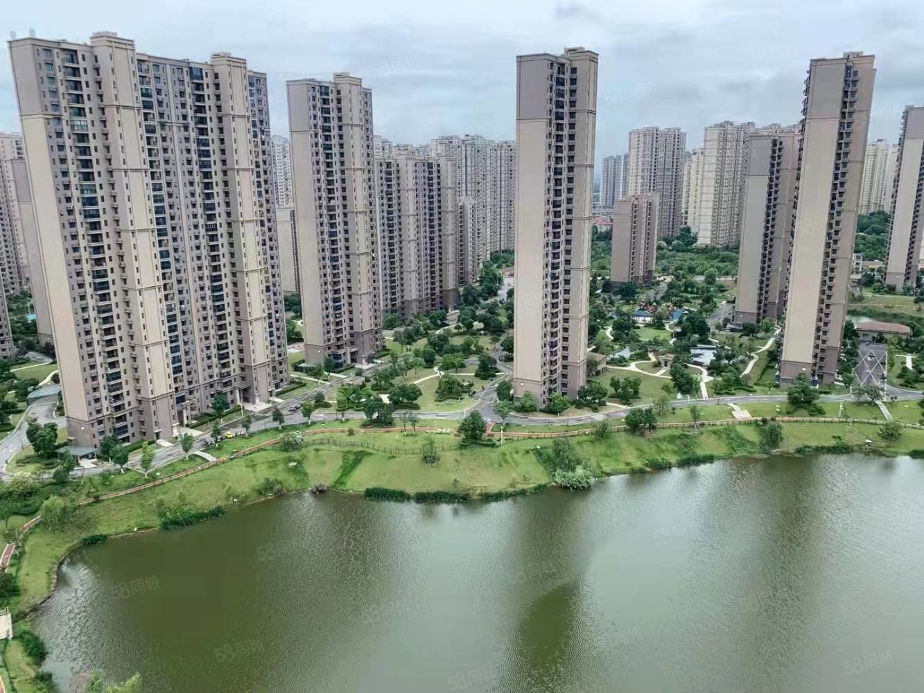 碧桂园凤凰城临湖苑4室2厅3卫274㎡南北200万