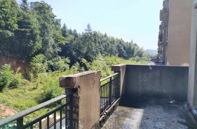 天鹅堡森林公园1室1厅38㎡23万二手房图片