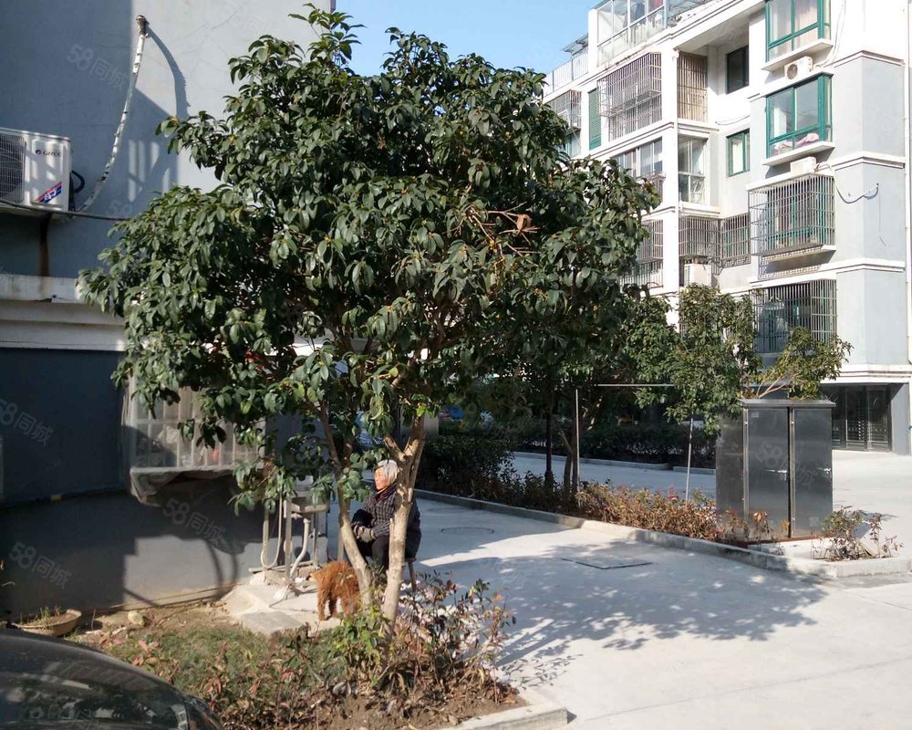 【金港嘉园, 金港嘉园小区详情,房价走势,房源,业主论坛】- 泰州58