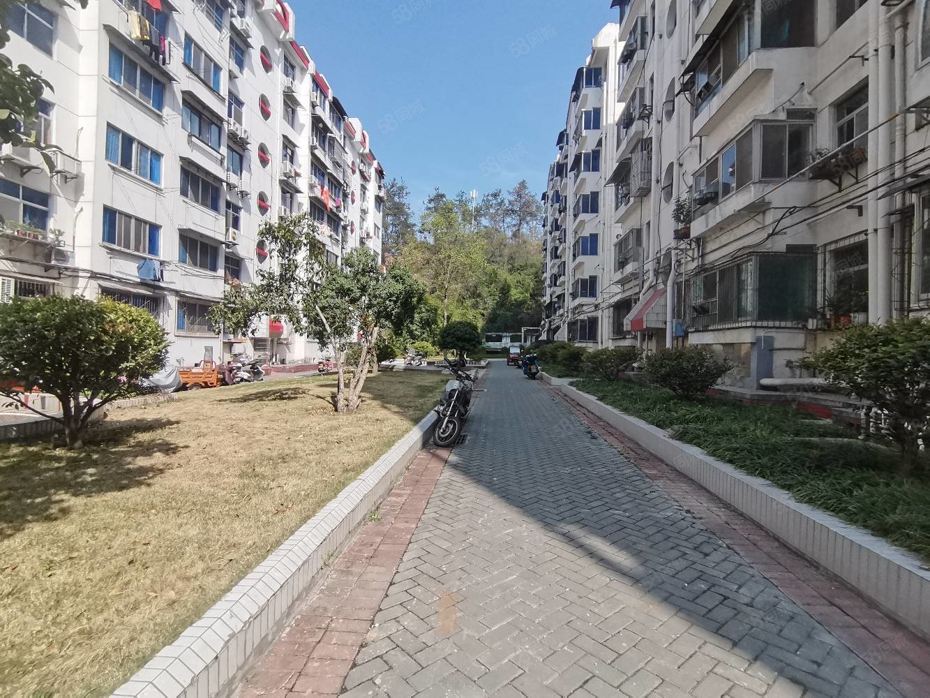 友谊新村2室2厅1卫73㎡南北25万