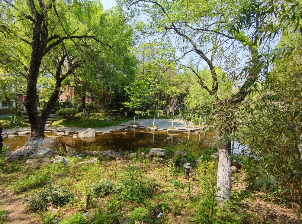 碧湖云溪(一期别墅)4室2厅3卫280㎡南766万