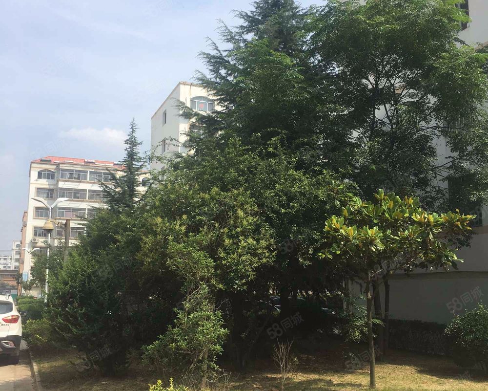 【台东花园东区, 台东花园东区小区详情,房价走势,房源,业主论坛】