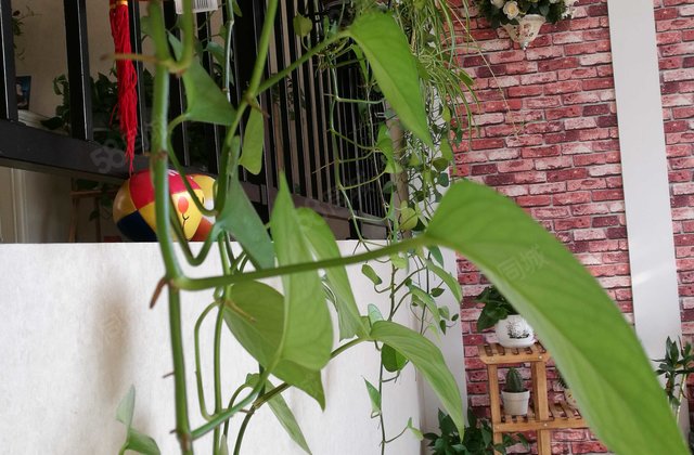 桃花苑5室2厅108.6㎡98万二手房图片