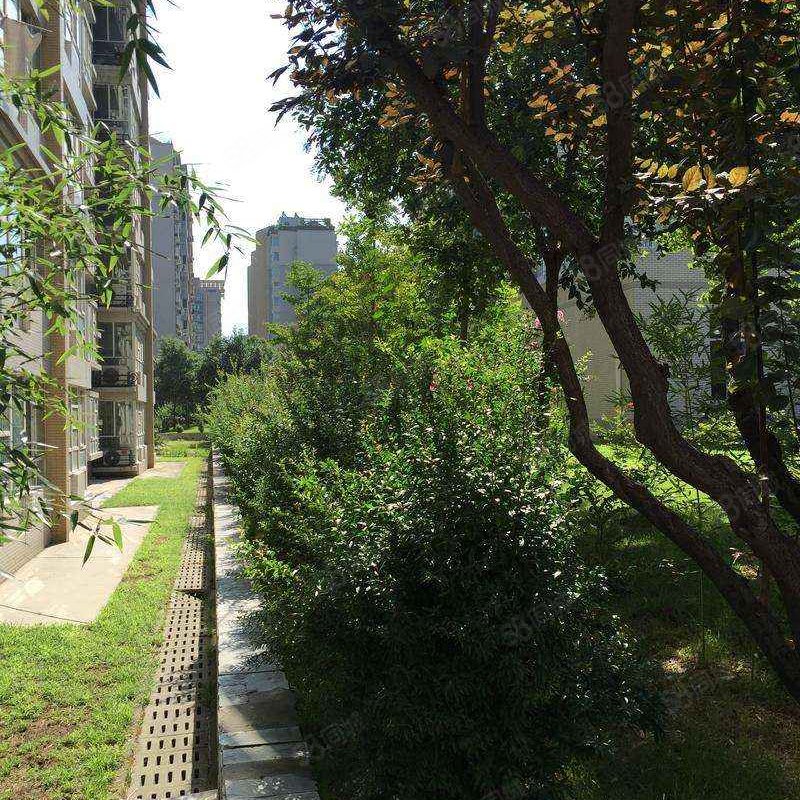 【曲江翠竹园, 曲江翠竹园小区详情,房价走势,房源,业主论坛】- 西安